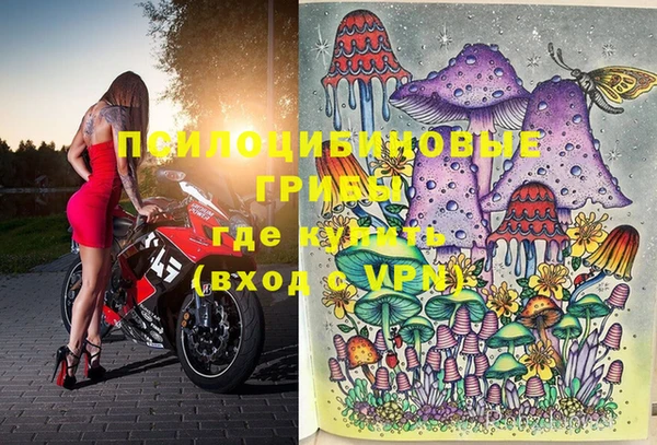 амф Ладушкин