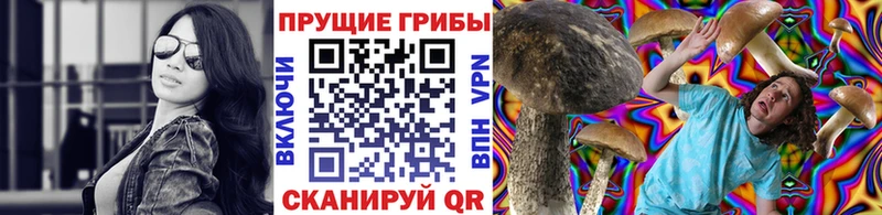 Галлюциногенные грибы MAGIC MUSHROOMS  kraken ТОР  Кандалакша 