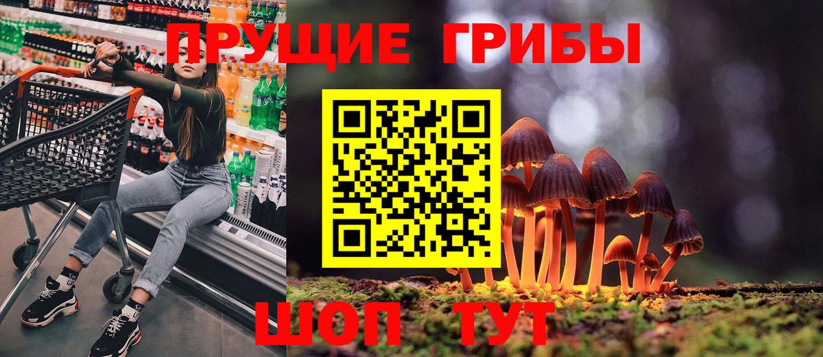 Галлюциногенные грибы прущие грибы  Вход с VPN  Кандалакша  наркошоп  Галлюциногенные грибы Psilocybine cubensis 