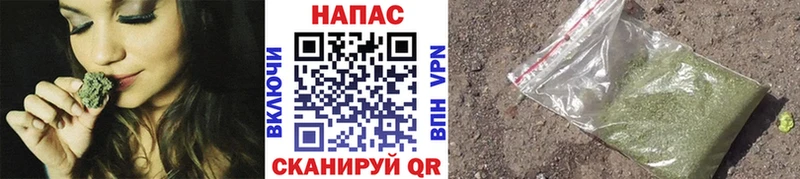 где можно купить наркотик Кандалакша Каннабис SATIVA & INDICA